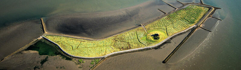 Hallig Habel. Martin Stock.