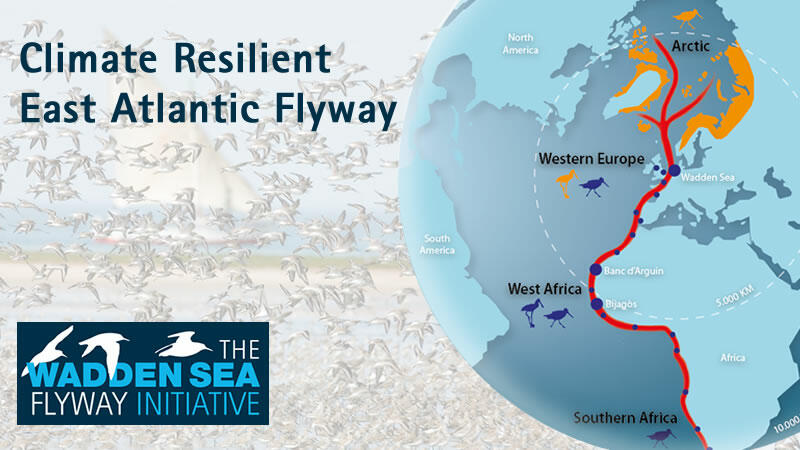 Flyway graphic. CWSS.