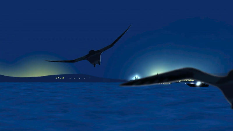 Screenshot of light pollution and migratory birds video. Broekhuizen Wirtz.