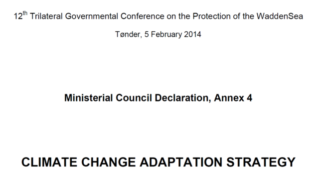 Screenshot of the title page of the Climate Adaptation Strategy dislaying the title text. 