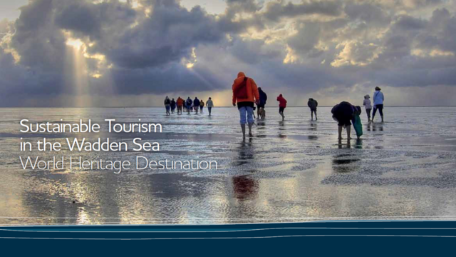 Screenshot of document title page with image of mudflat hikers on exposed mudflat with cloudy sky. © Frederico di Campo.