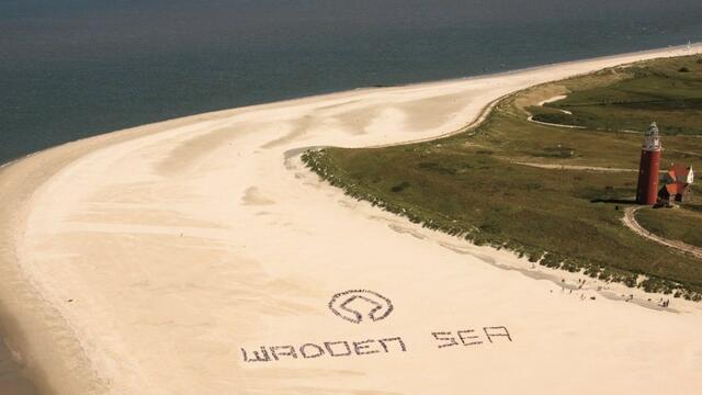 World Heritage tree formed by a group of people at beach. © Pieter de Vries.